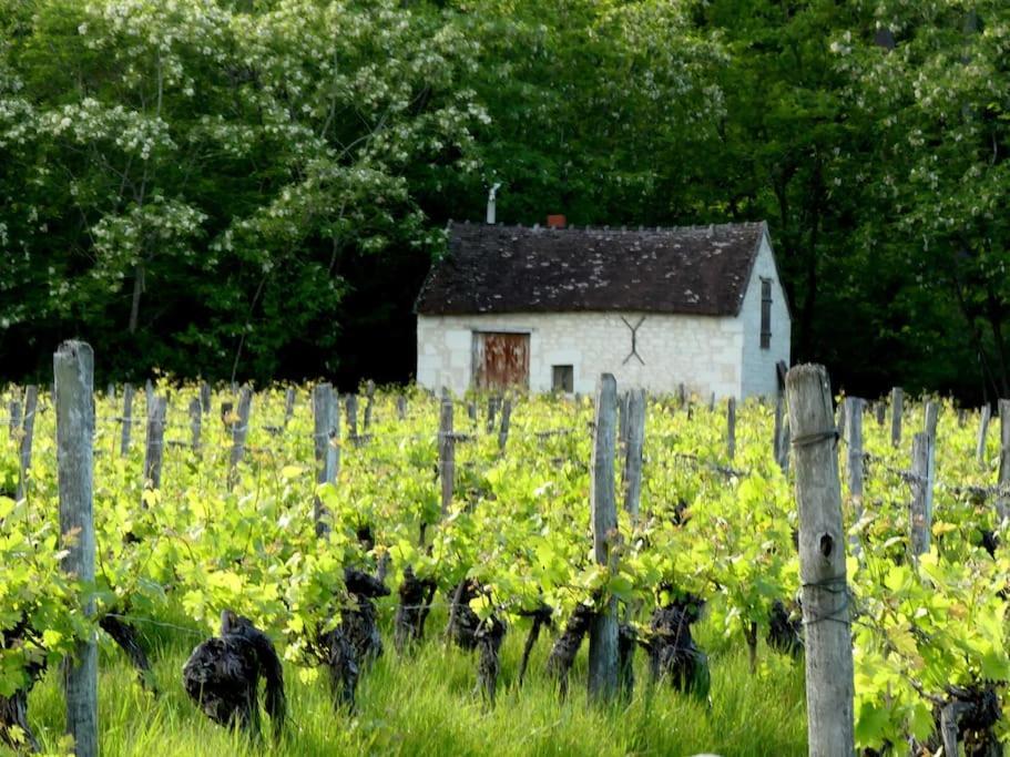 Maison De Bourg Paisible Parcay-sur-Vienne Luaran gambar